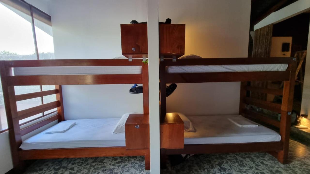 Paradiso Hostel La Laguna Eksteriør bilde
